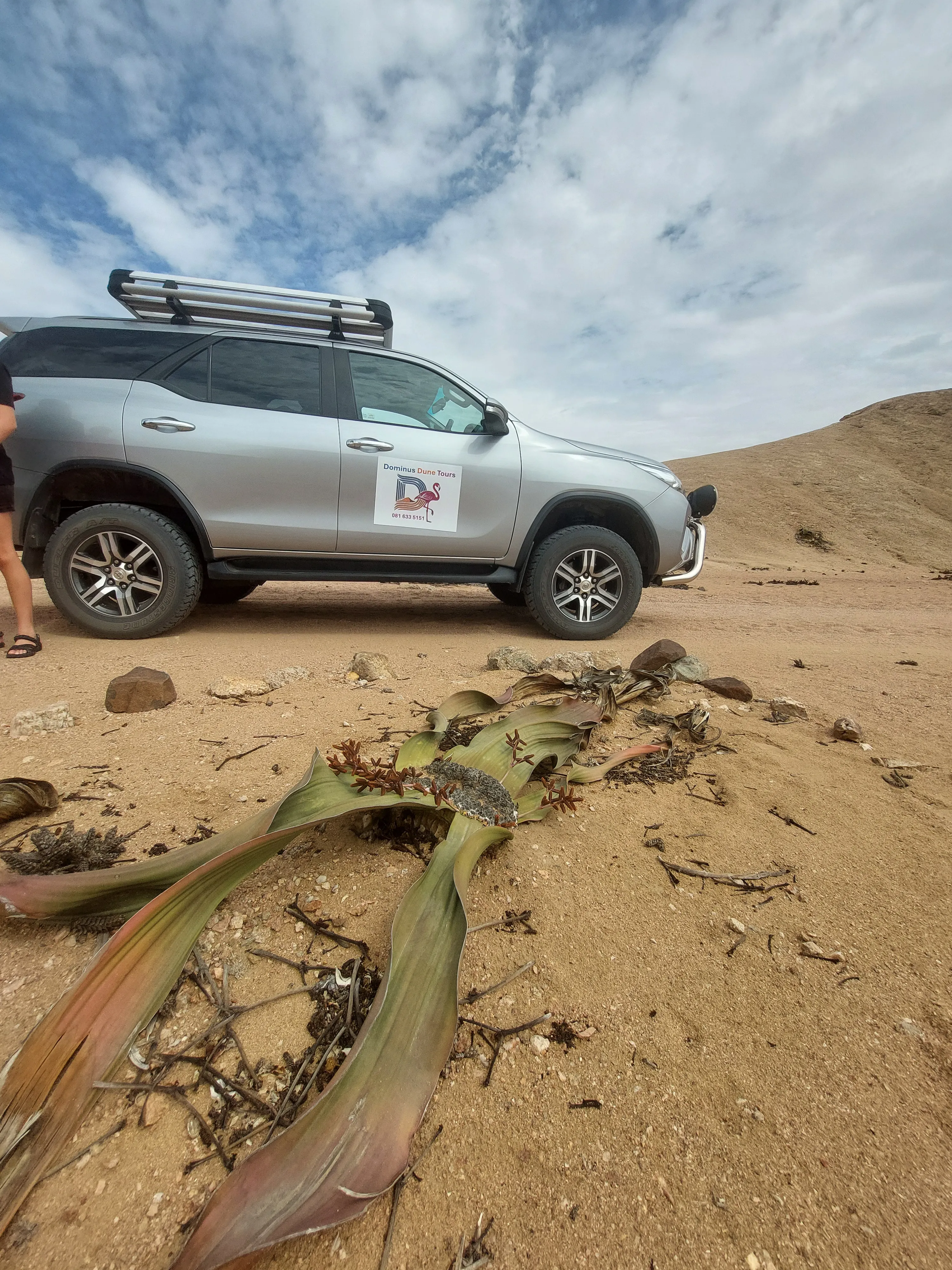 Guided Moon Valley Desert Dune Tour in Namibia by Dominus Dune Tours