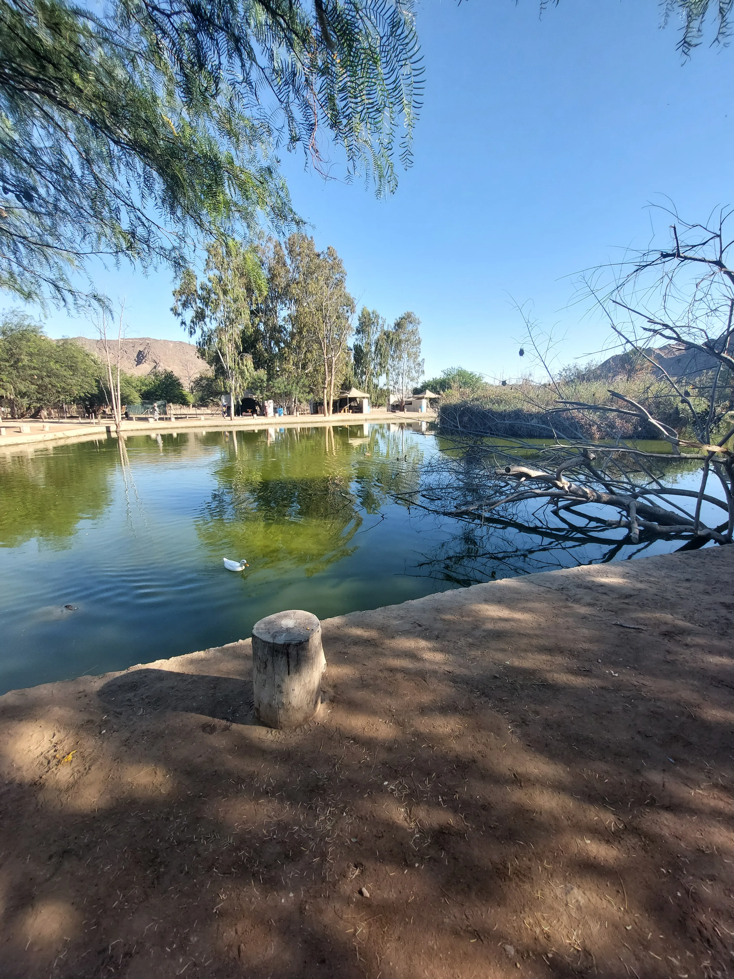 Tour group exploring Moon Valley desert dunes in Namibia - Dominus Dune Tours