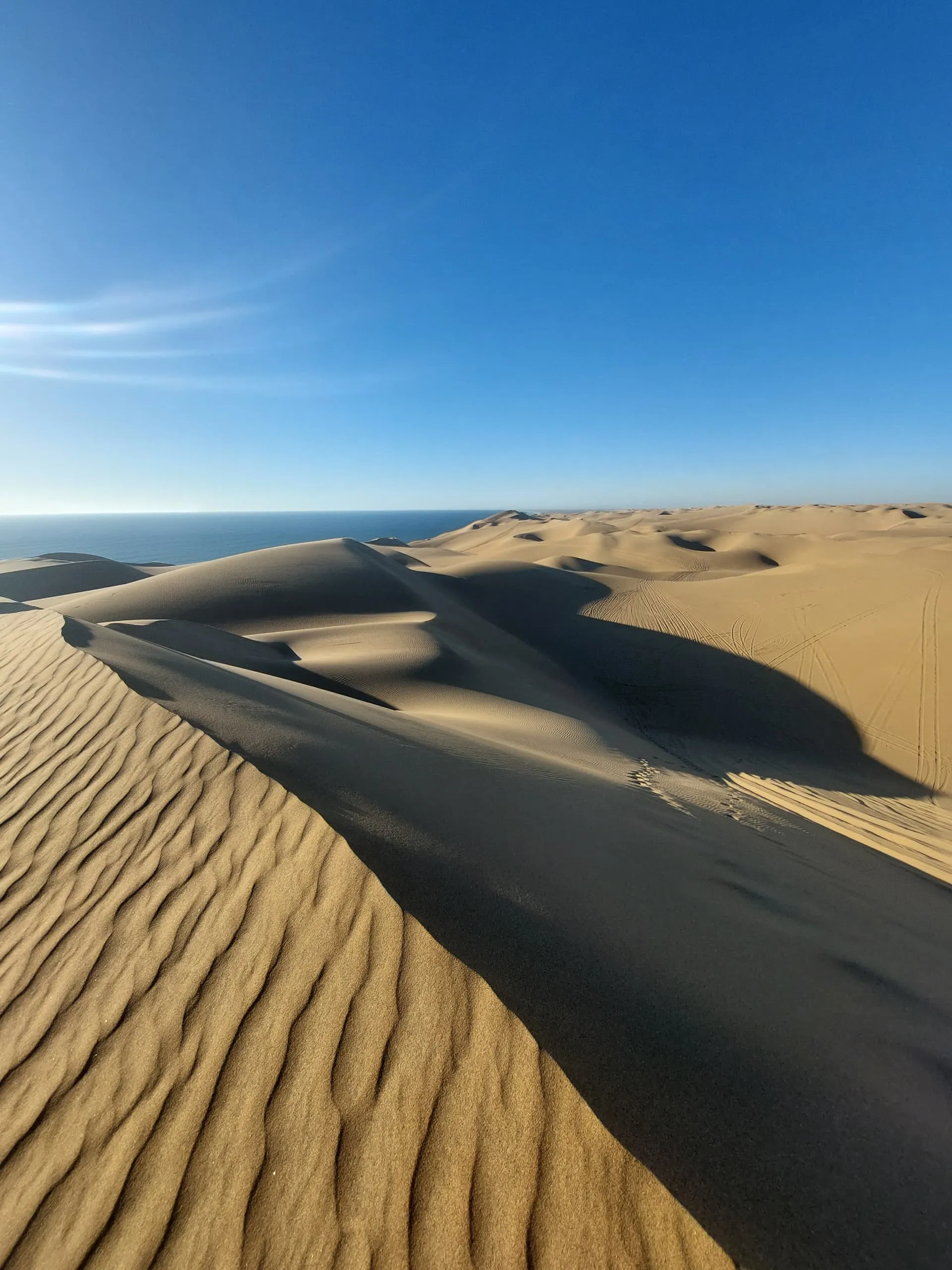 Guided Sandwich Harbour Tour in Namibia - Dominus Dune Tours