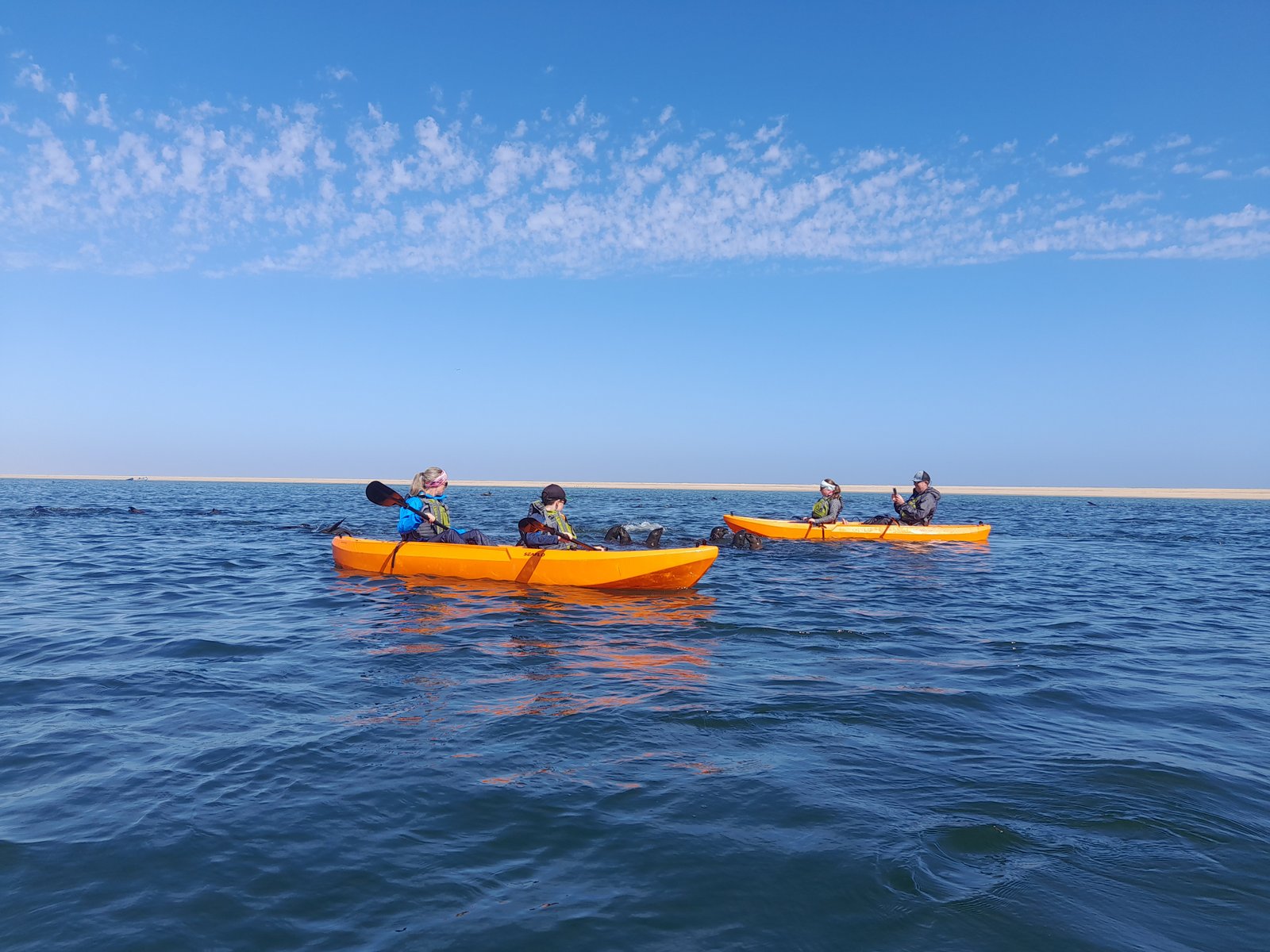 Seal kayaking tour in Walvis Bay lagoon, Namibia - Dominus Dune Tours