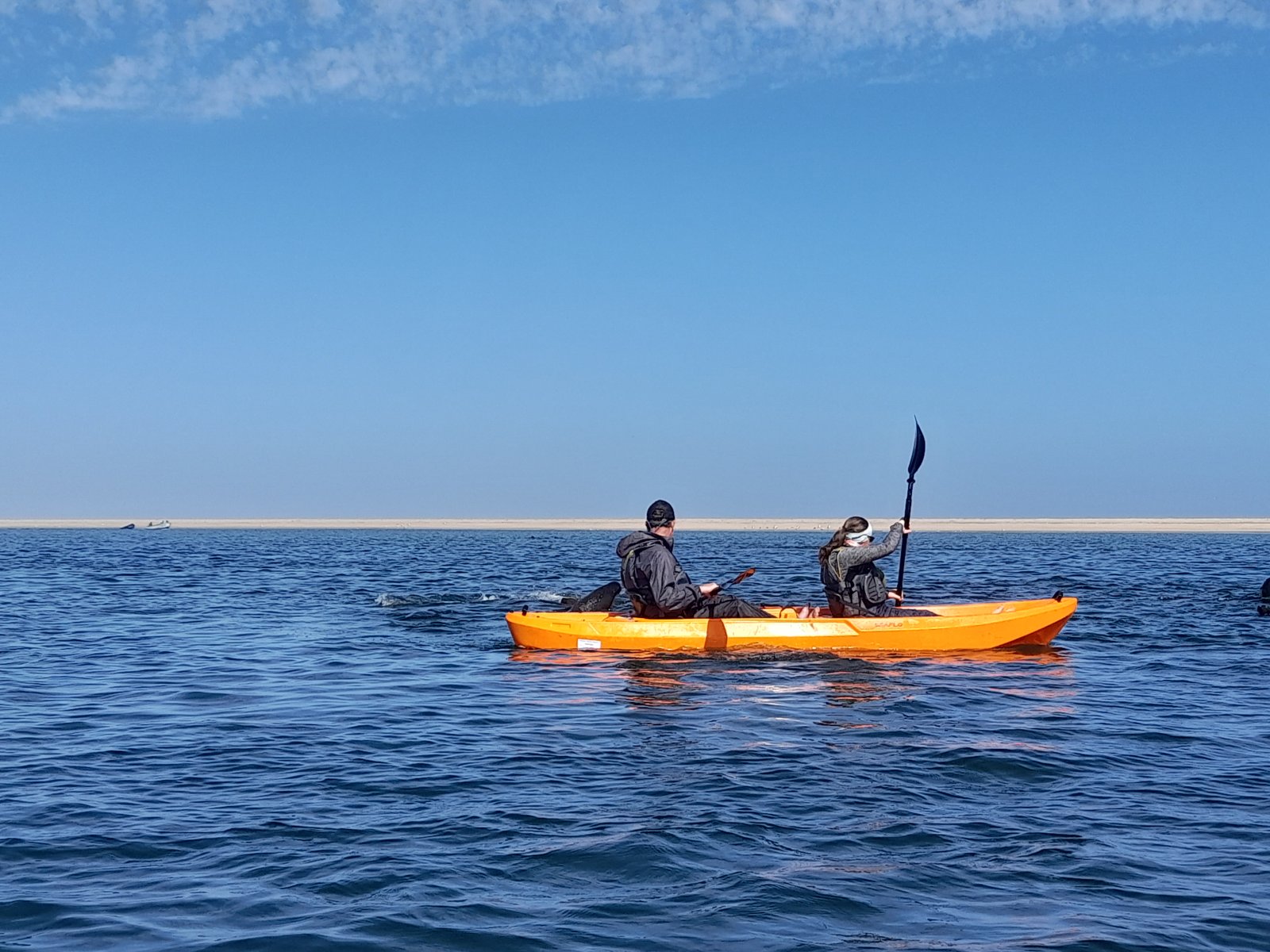 Paddling with seals in Walvis Bay, Namibia - Dominus Dune Tours