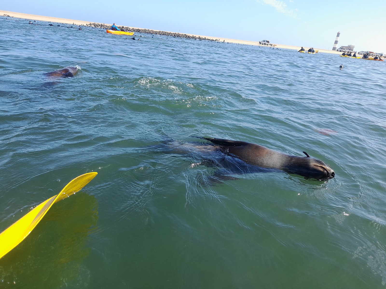 Kayaking on calm lagoon waters in Namibia - Dominus Dune Tours