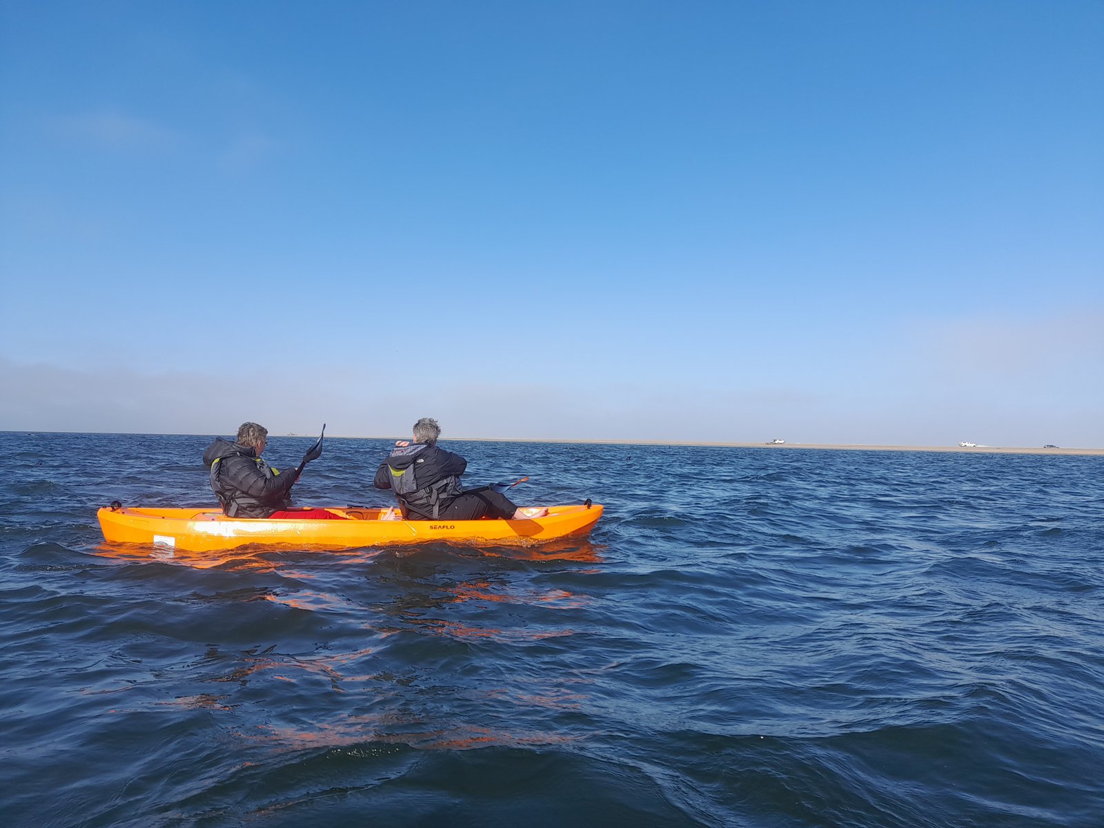Seal kayaking tour group on the lagoon - Dominus Dune Tours