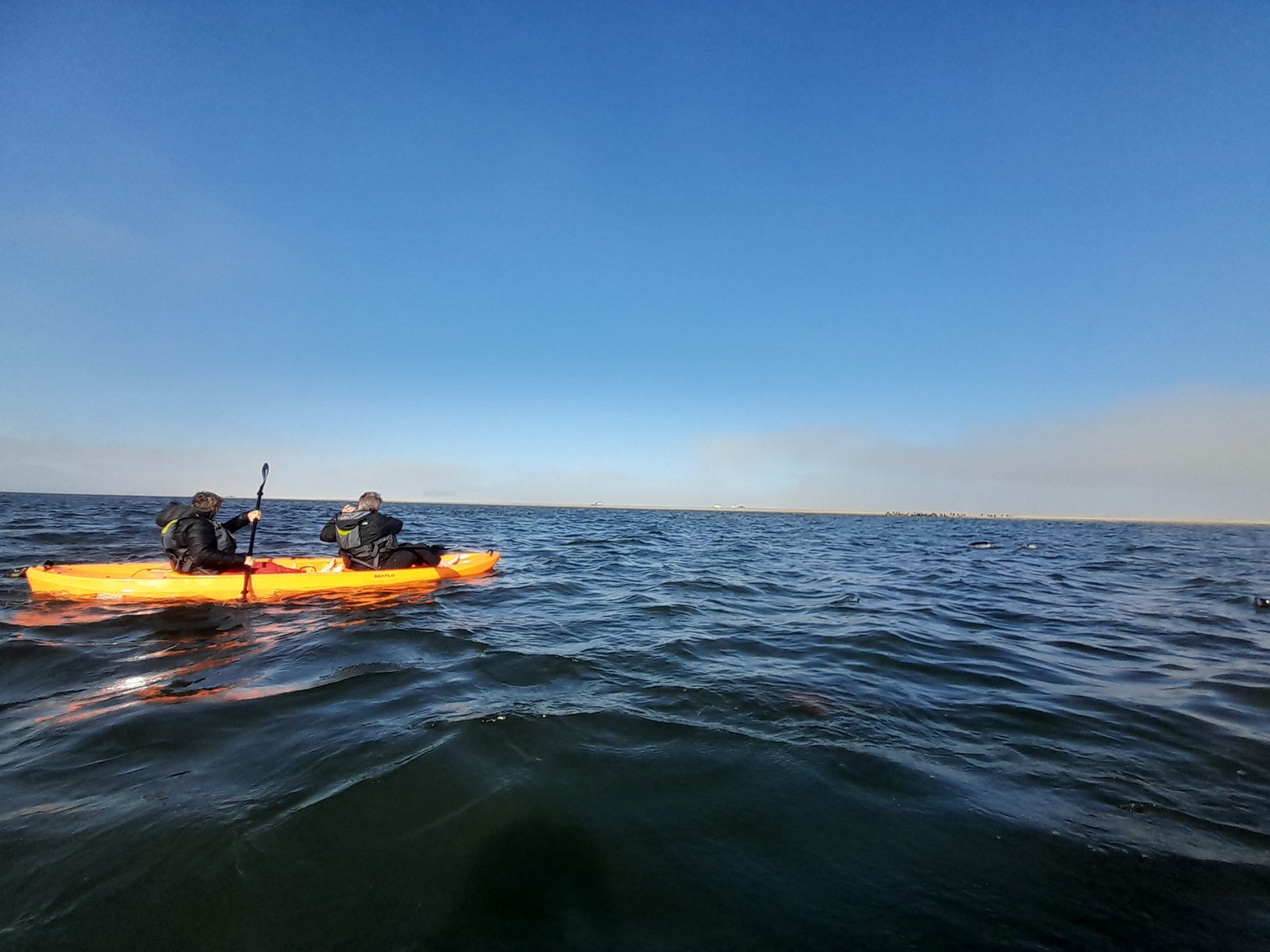 Kayaking through the Walvis Bay wetlands - Dominus Dune Tours