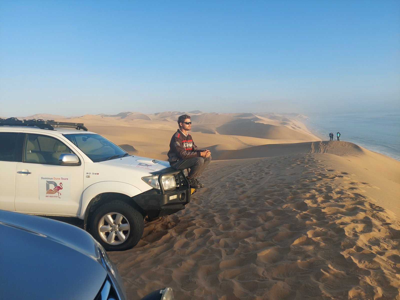 Birds flying over the coastal dunes at Sandwich Harbour, Namibia wildlife tour