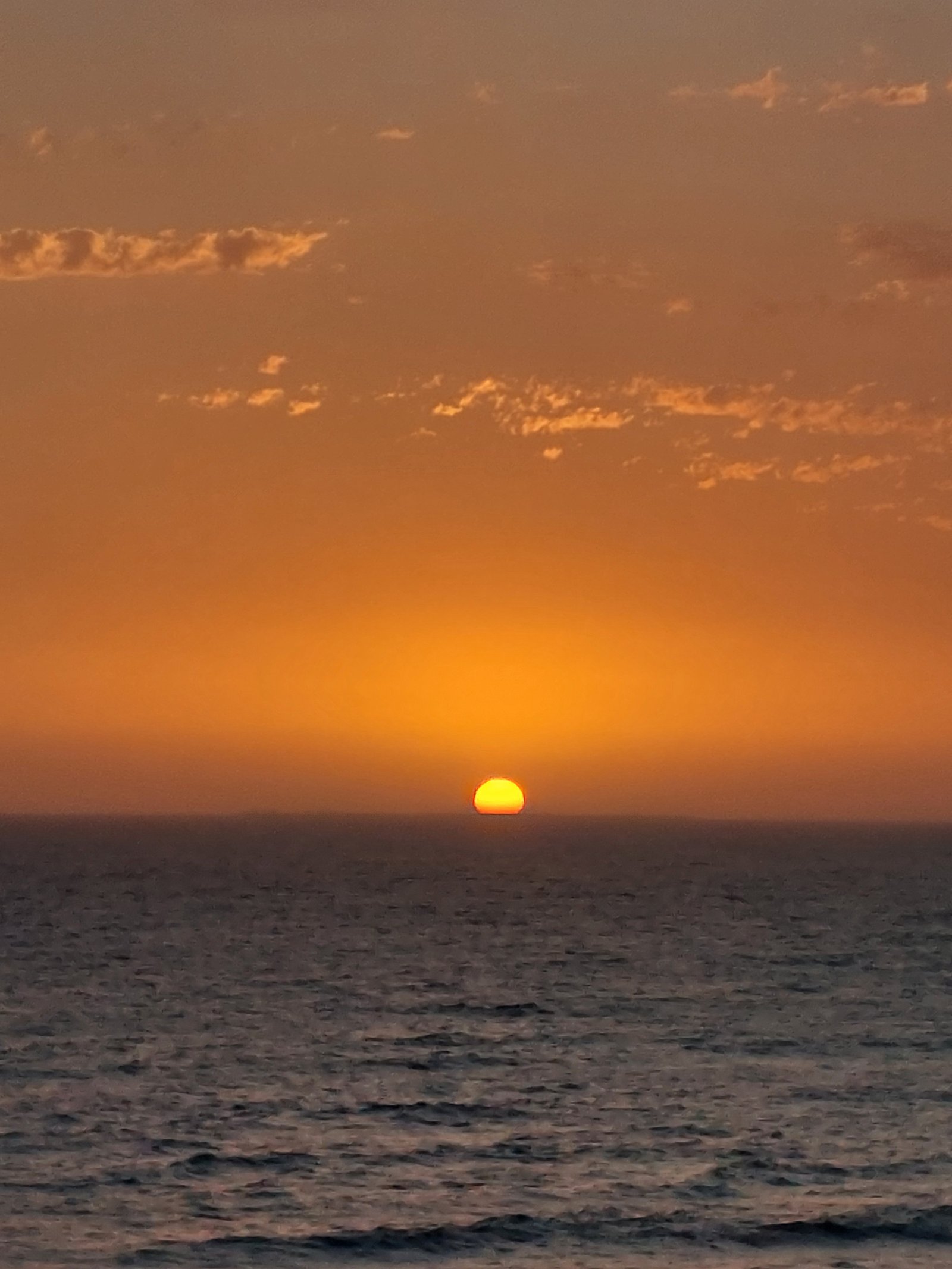 Guided dune tour exploring Sandwich Harbour's unique ecosystem