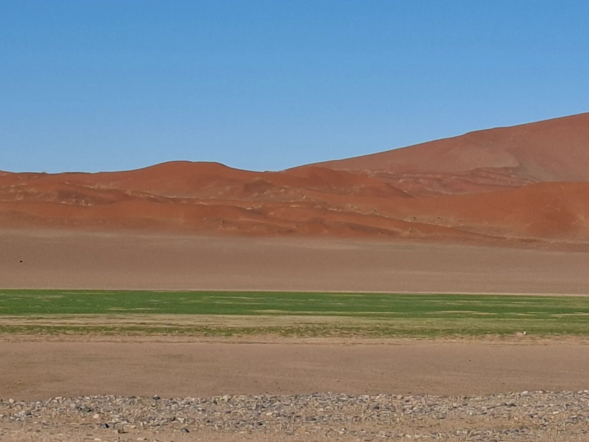 Sossusvlei 2-Day Guided Adventure photo 11