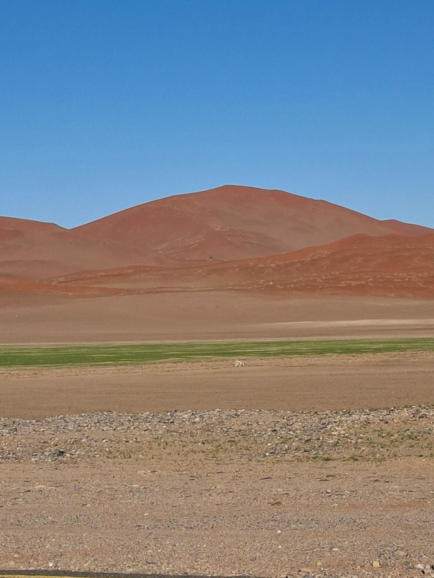Sossusvlei 2-Day Guided Adventure photo 12