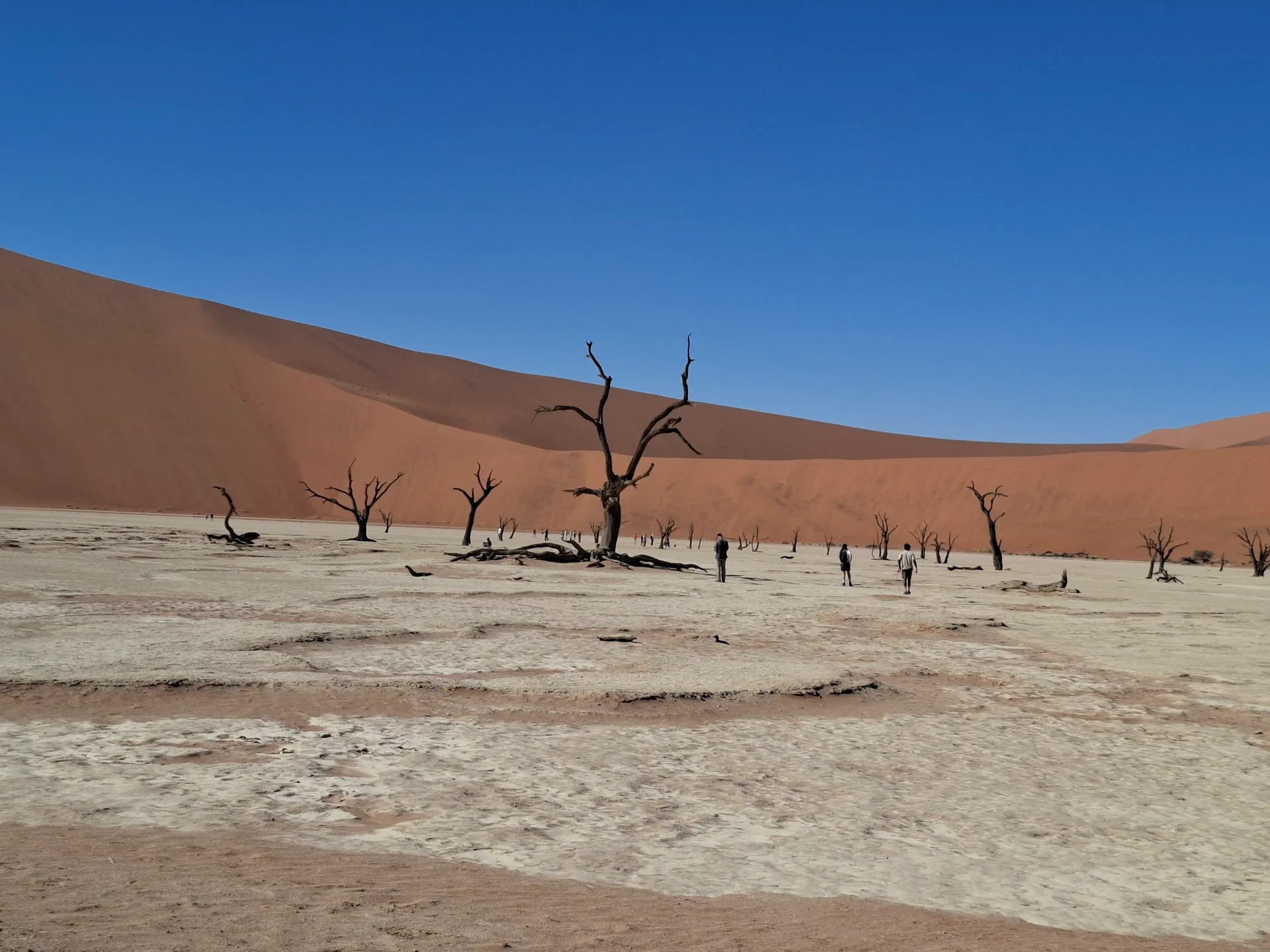 Sossusvlei 2-Day Guided Adventure photo 15